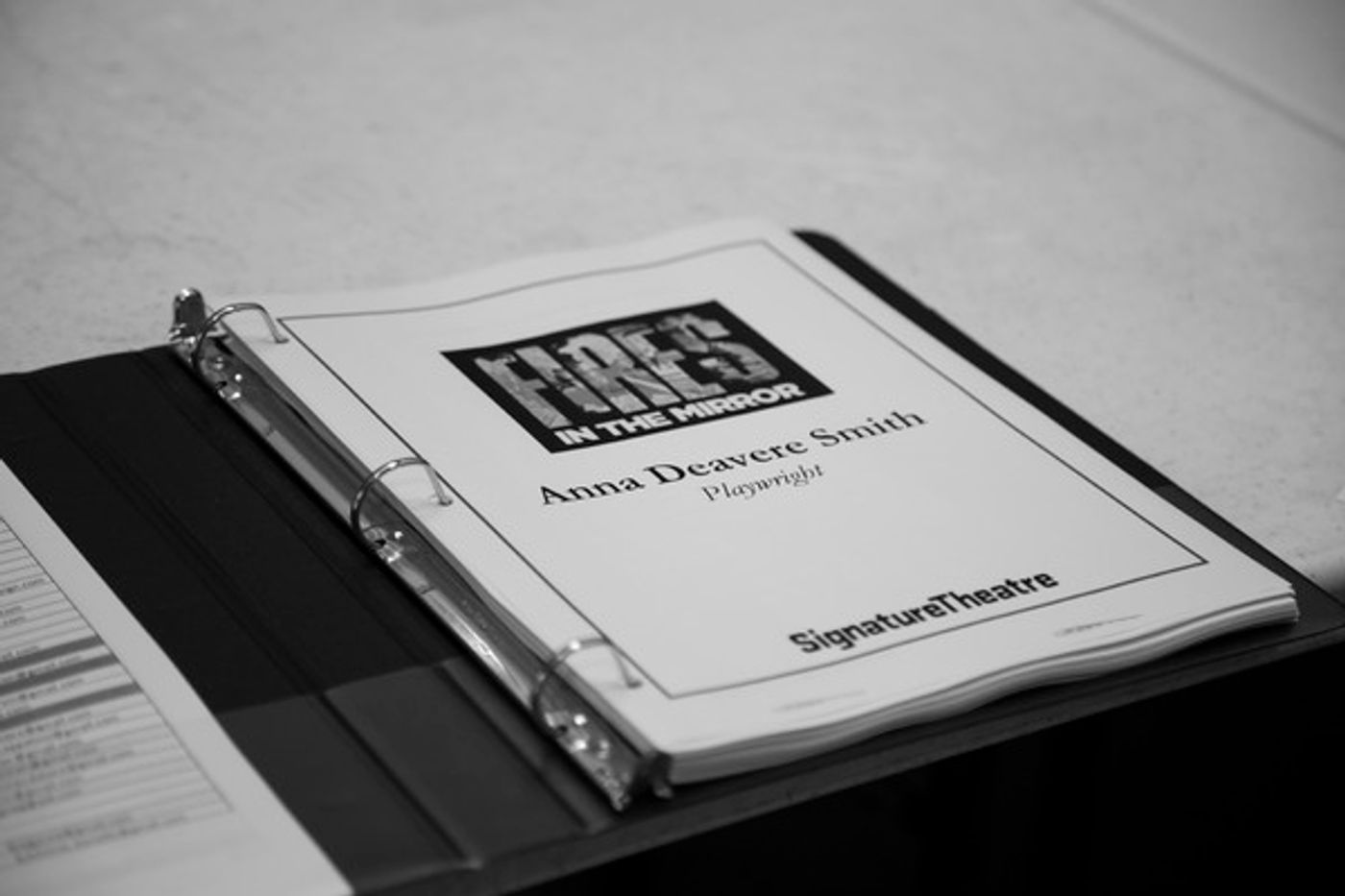 Photo Flash: In Rehearsal With FIRES IN THE MIRROR At Signature Theatre Photo Flash: In Rehearsal With FIRES IN THE MIRROR At Signature Theatre Image