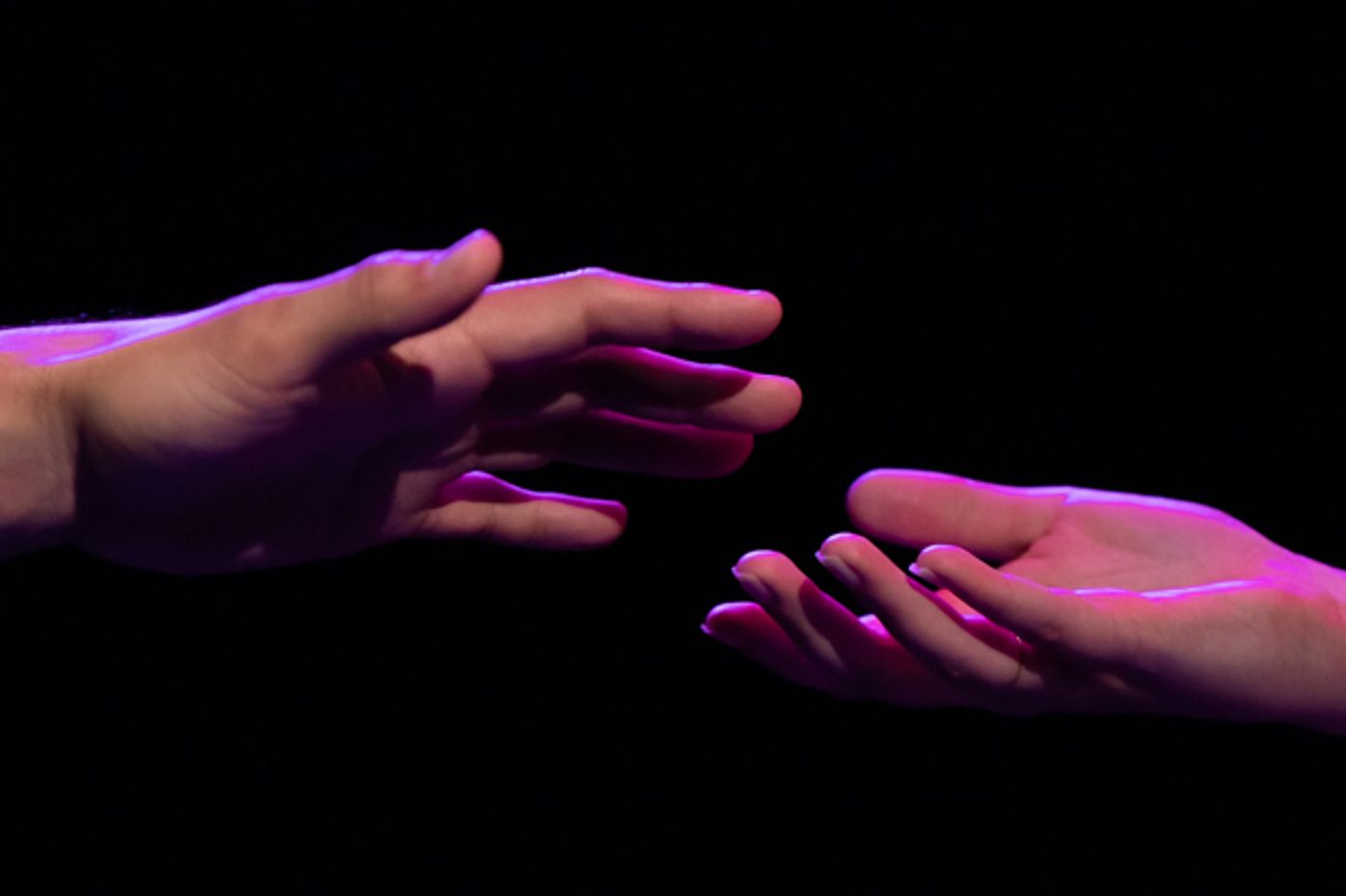 Photo Coverage: First look at A Night of Broadway's THE SECRET GARDEN  Image