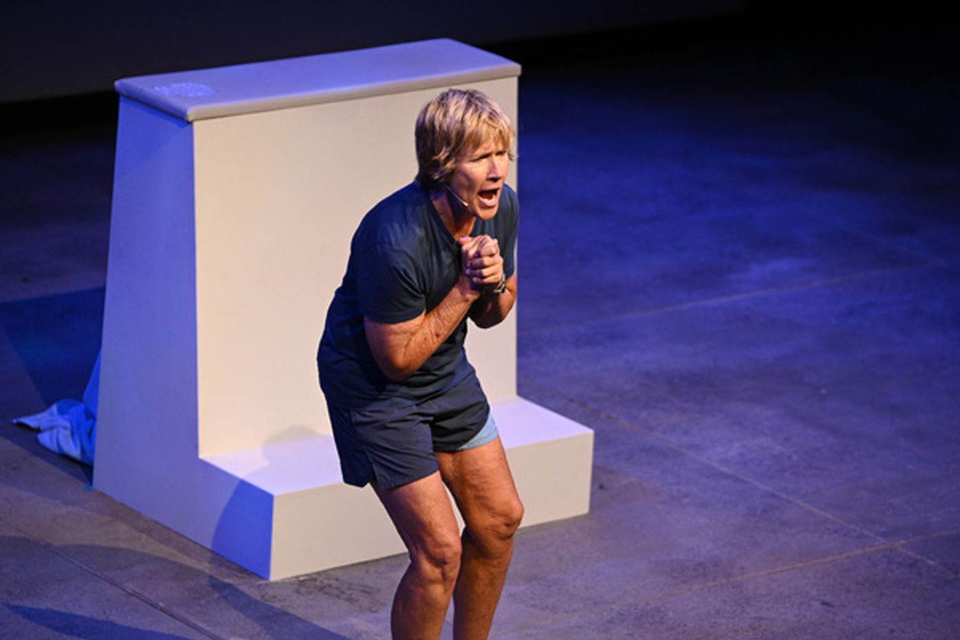 Photo Flash: THE SWIMMER Opens at Audible's Minetta Lane Theatre  Image