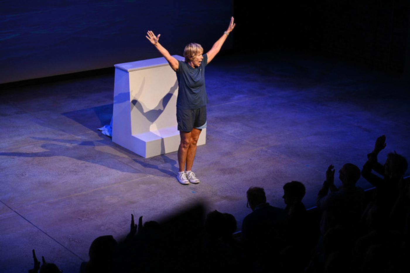 Photo Flash: THE SWIMMER Opens at Audible's Minetta Lane Theatre  Image