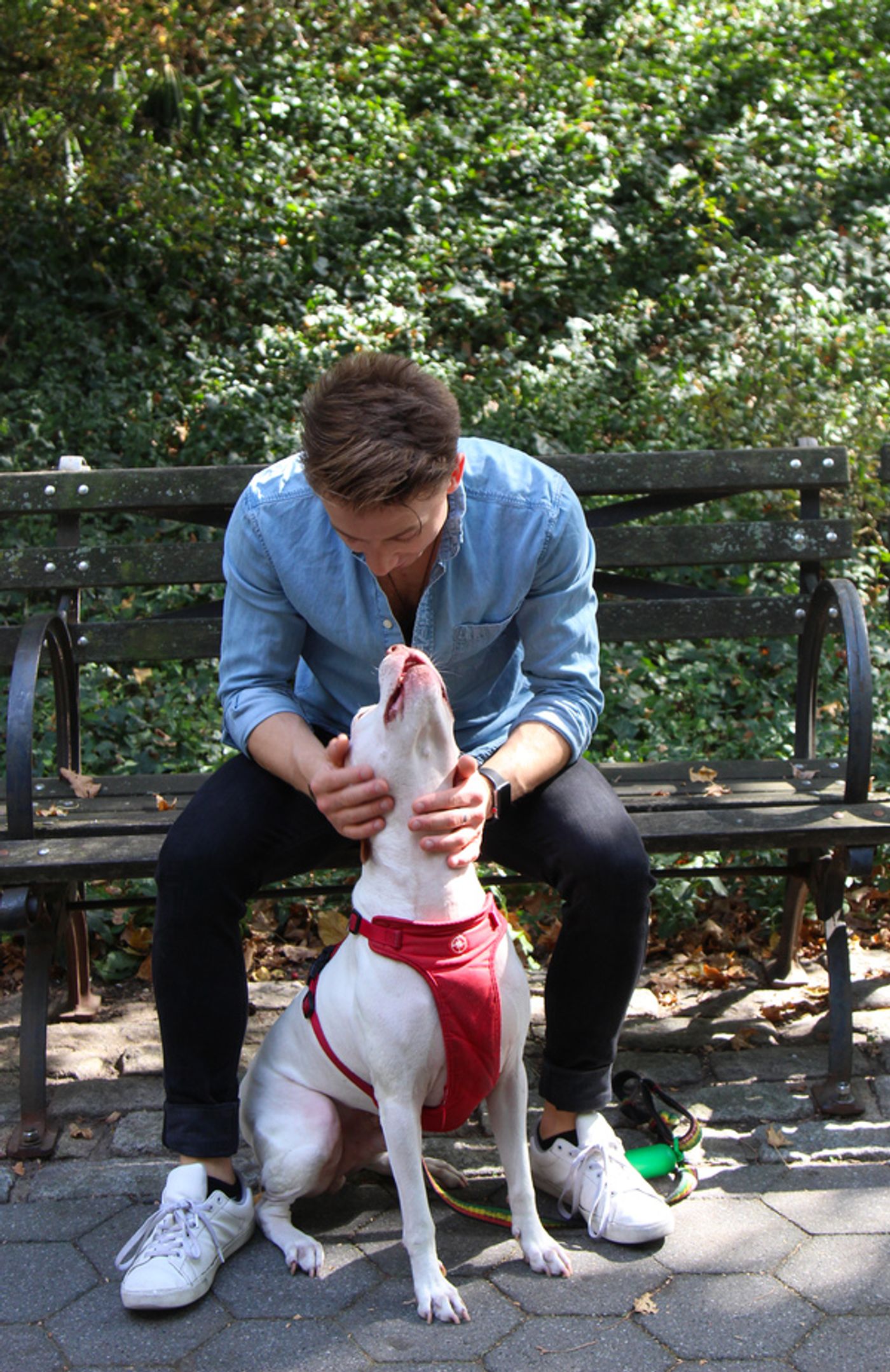 Tails of Broadway: WICKED's Riley Costello Plays Around with Ryder!  Image