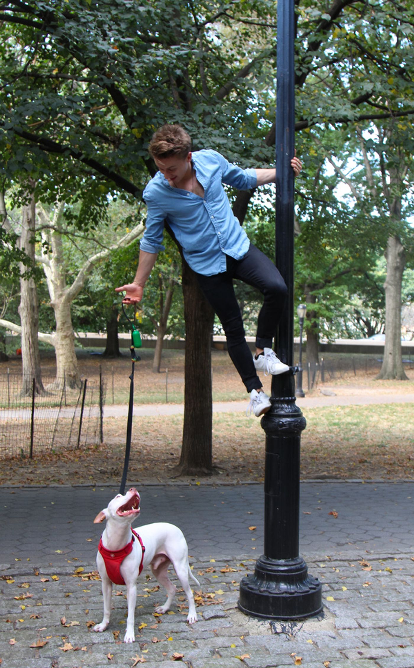 Tails of Broadway: WICKED's Riley Costello Plays Around with Ryder!  Image