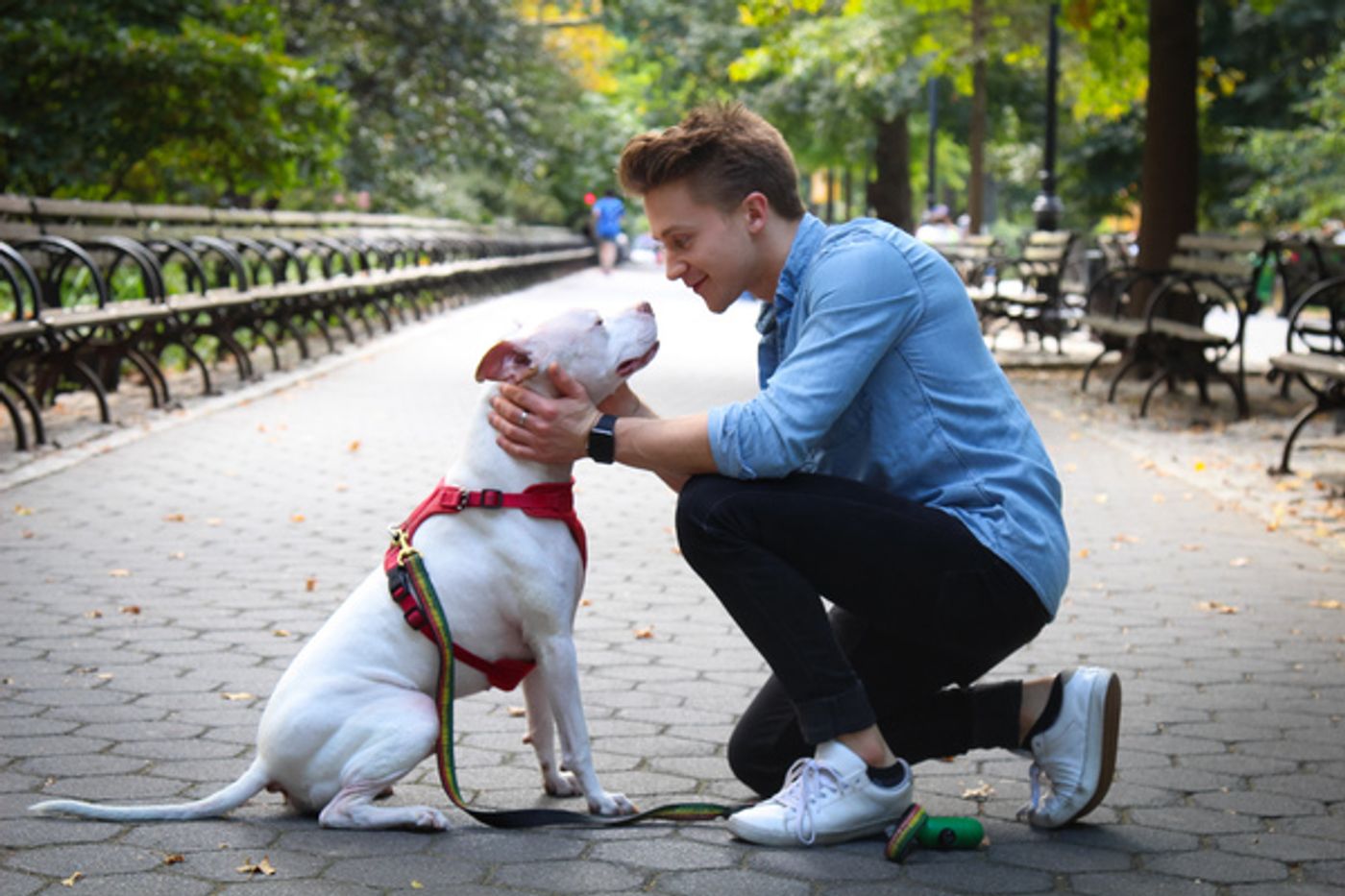 Tails of Broadway: WICKED's Riley Costello Plays Around with Ryder!  Image