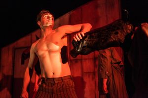 Sean William Kelly Photo