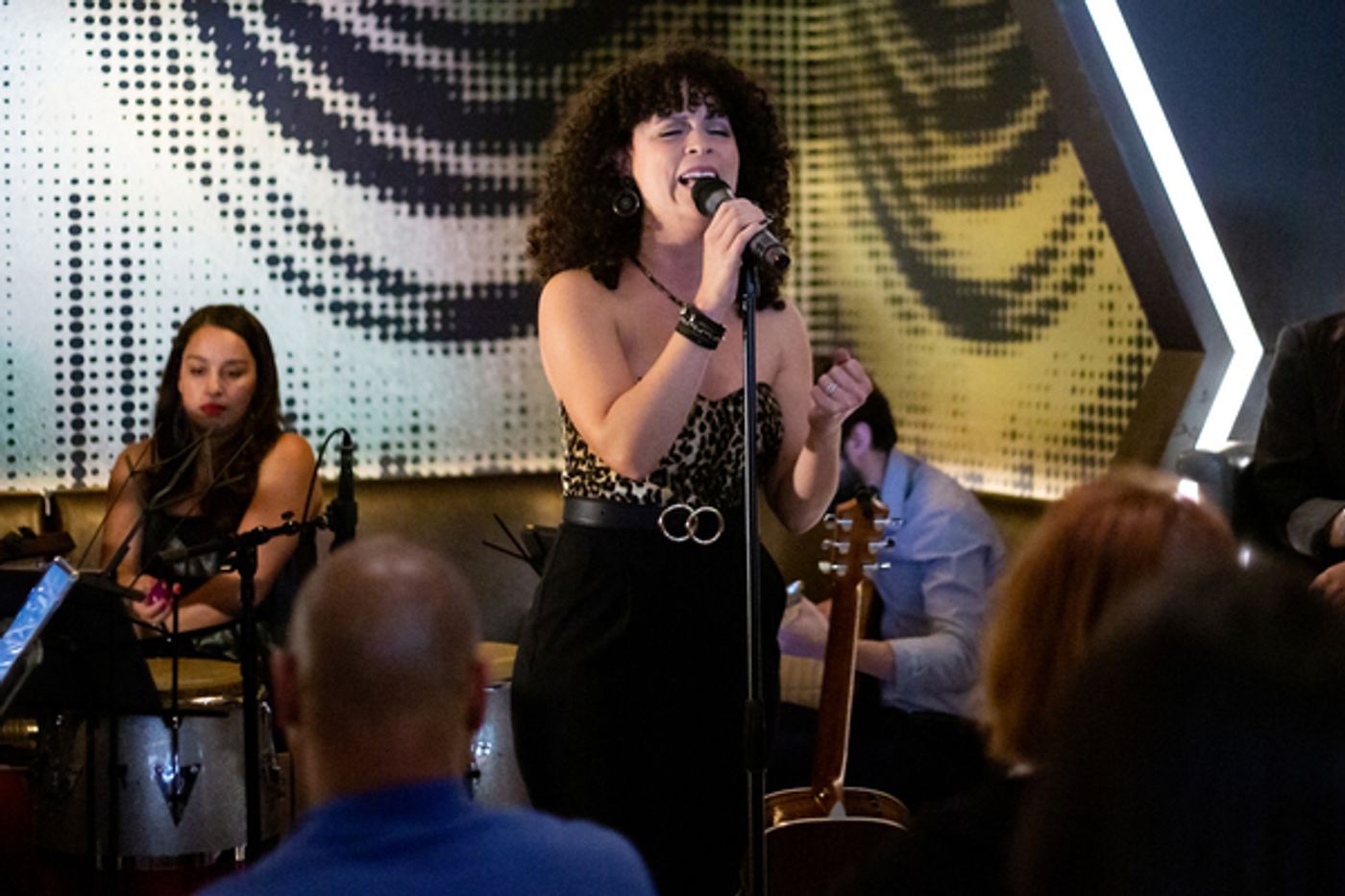 Photo Flash: Ana Villafañe Hosts Viva Broadway's EL CONJUNTO Concert Series!  Image