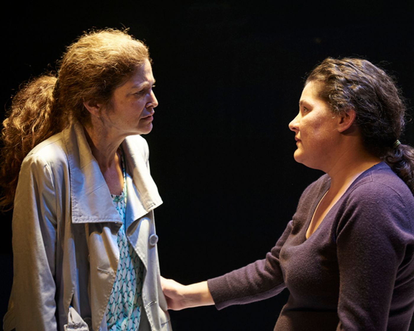Photo Flash: First Look at MOSQUITOES at Steep Theatre  Image