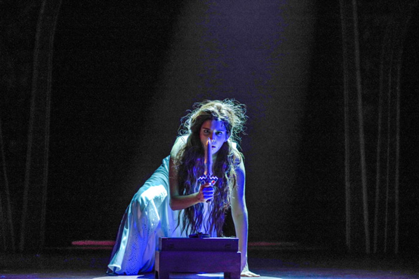 Photo Flash: First Look at DRACULA at ZACH Theatre  Image