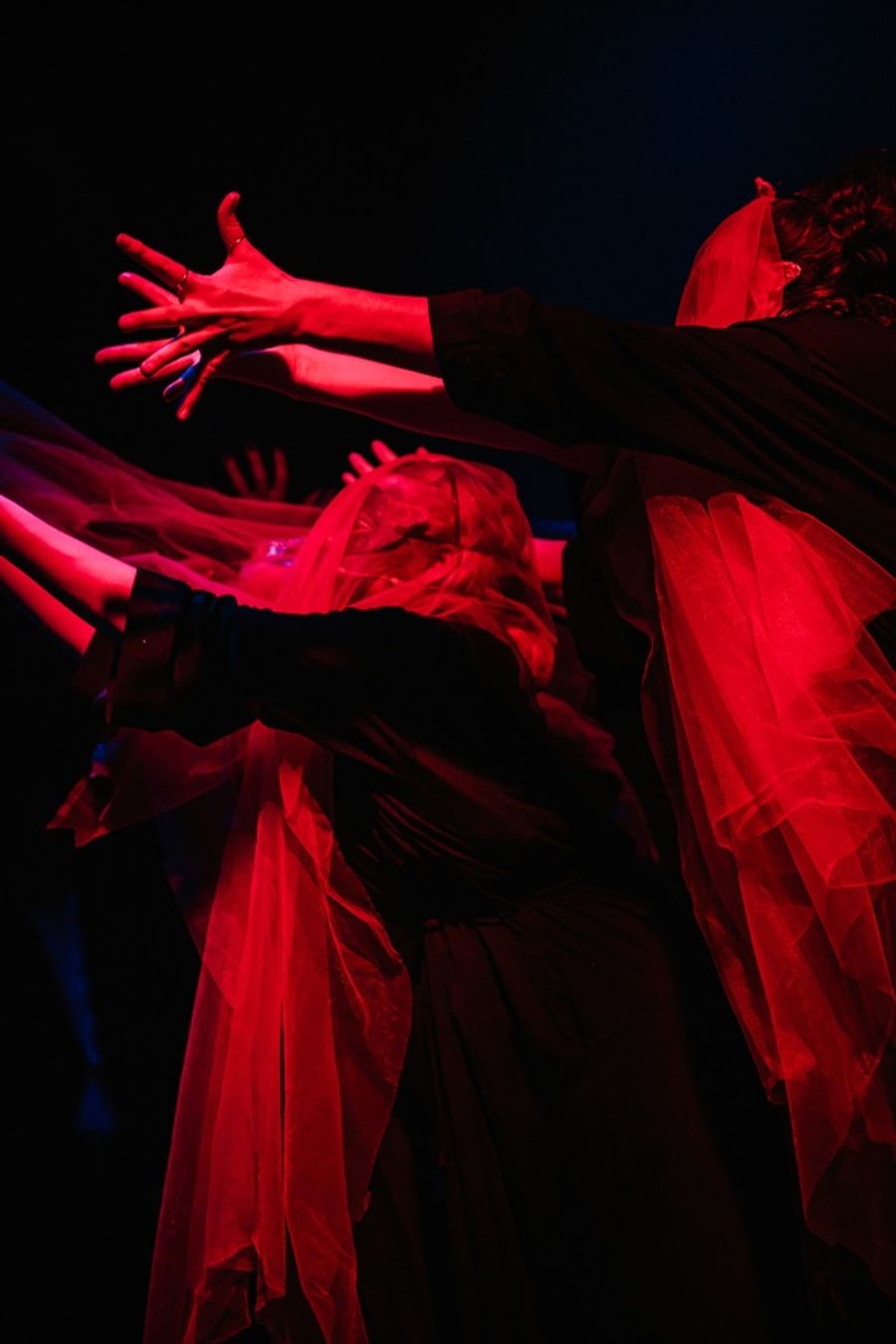 Photo Flash: First Look at RED PALACE at the Vaults  Image