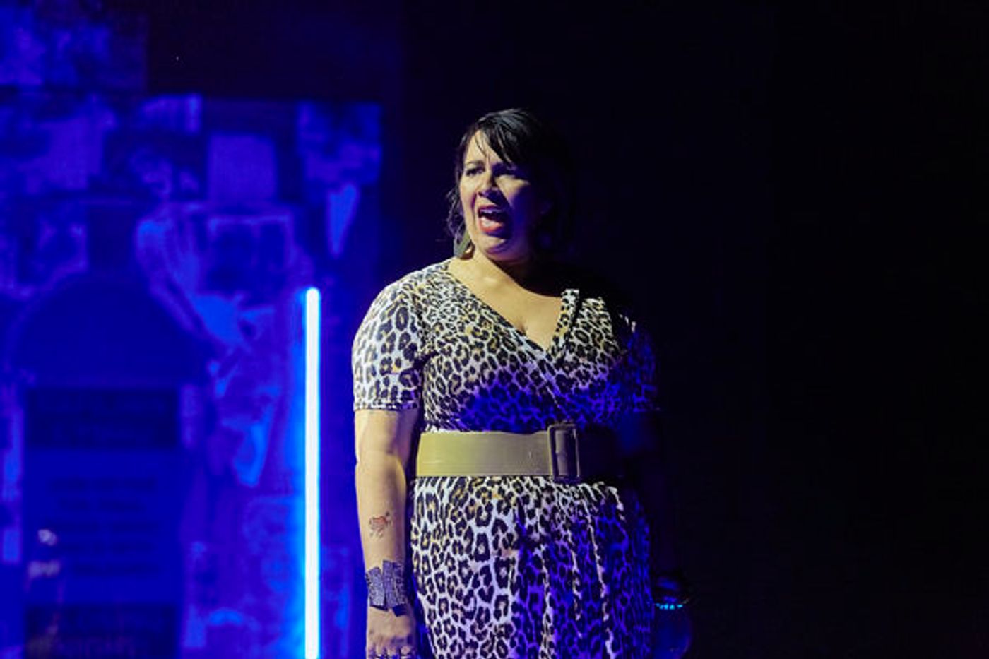 Photo Flash: First Look at PAVILION at Theatr Clwyd  Image