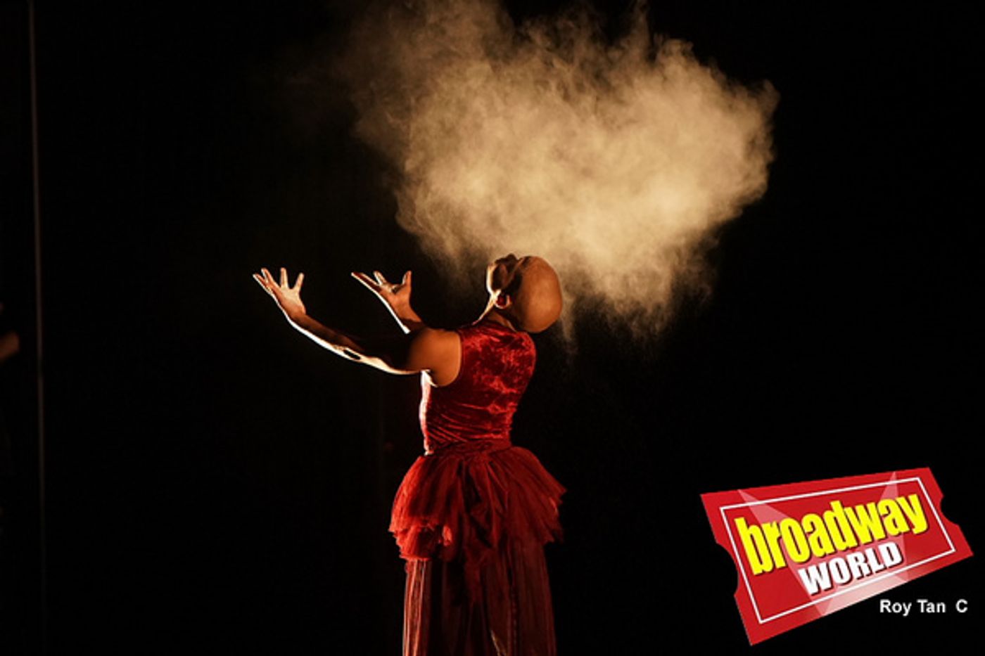 Photo Flash: First Look at Dance Consortium's GISELLE Photo Flash: First Look at Dance Consortium's GISELLE Image