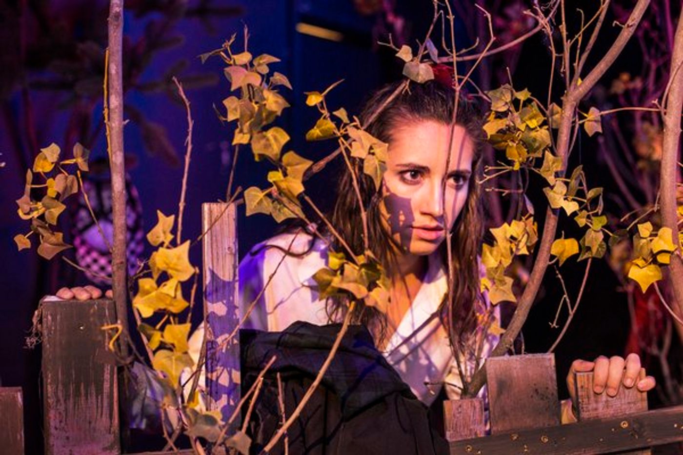 Photo Flash: First Look at Synchronicity Theatre's MAC | BETH  Image