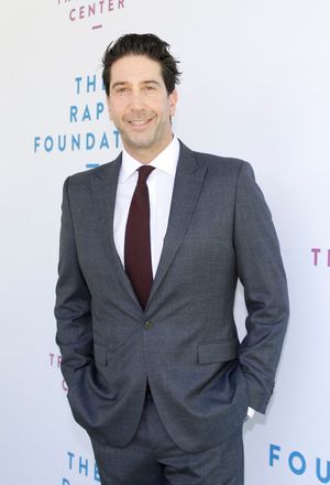 David Schwimmer Photo