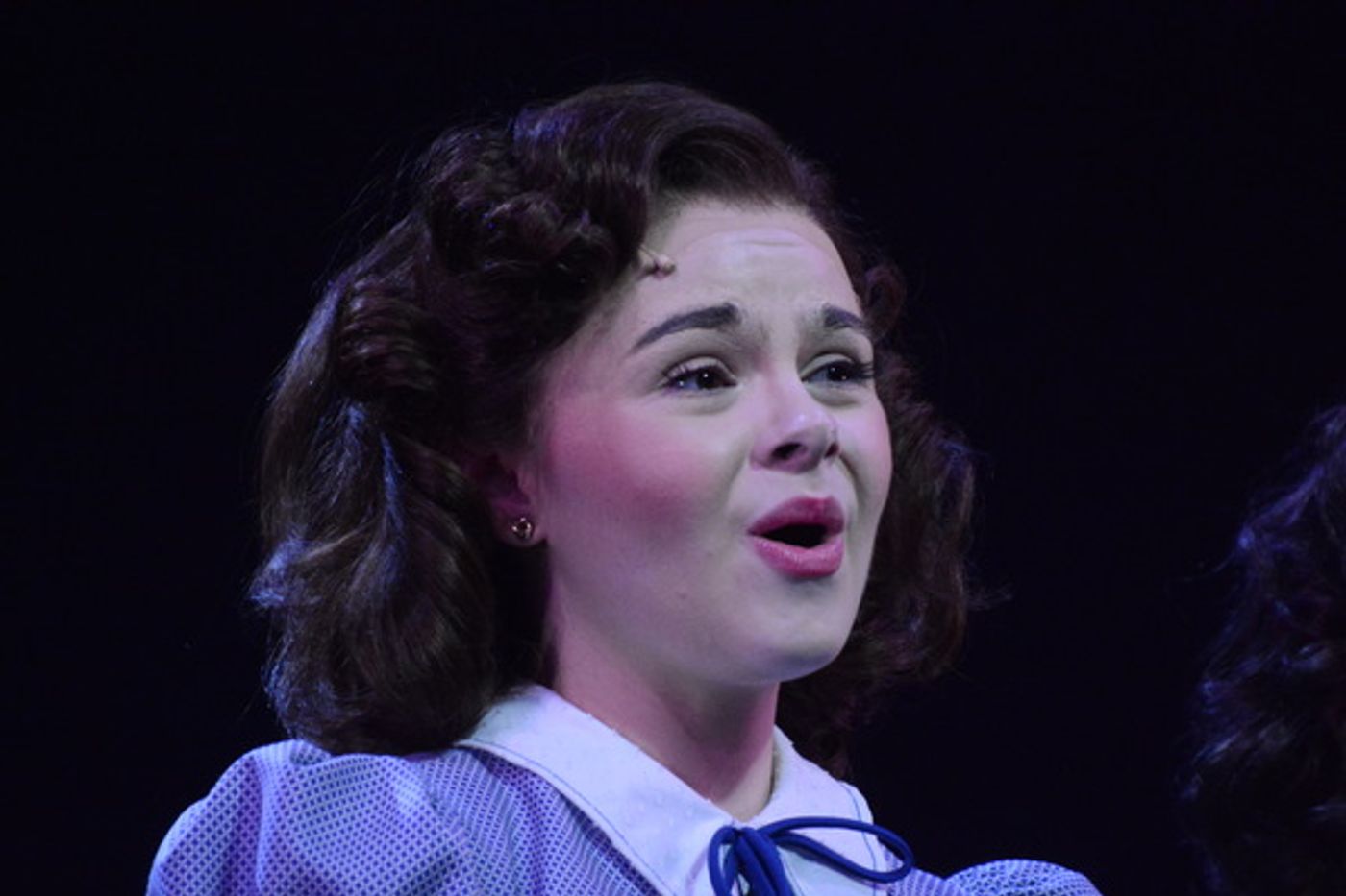 Photo Coverage: The Cast of Paper Mill's CHASING RAINBOWS Takes Opening Night Bows  Image