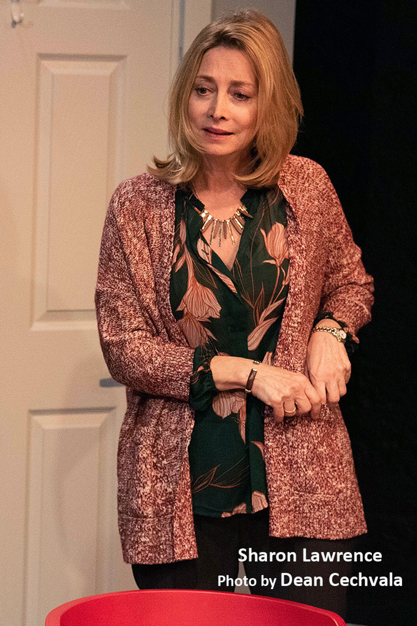 Review: Strong Actors Raise A KID LIKE JAKE  Image