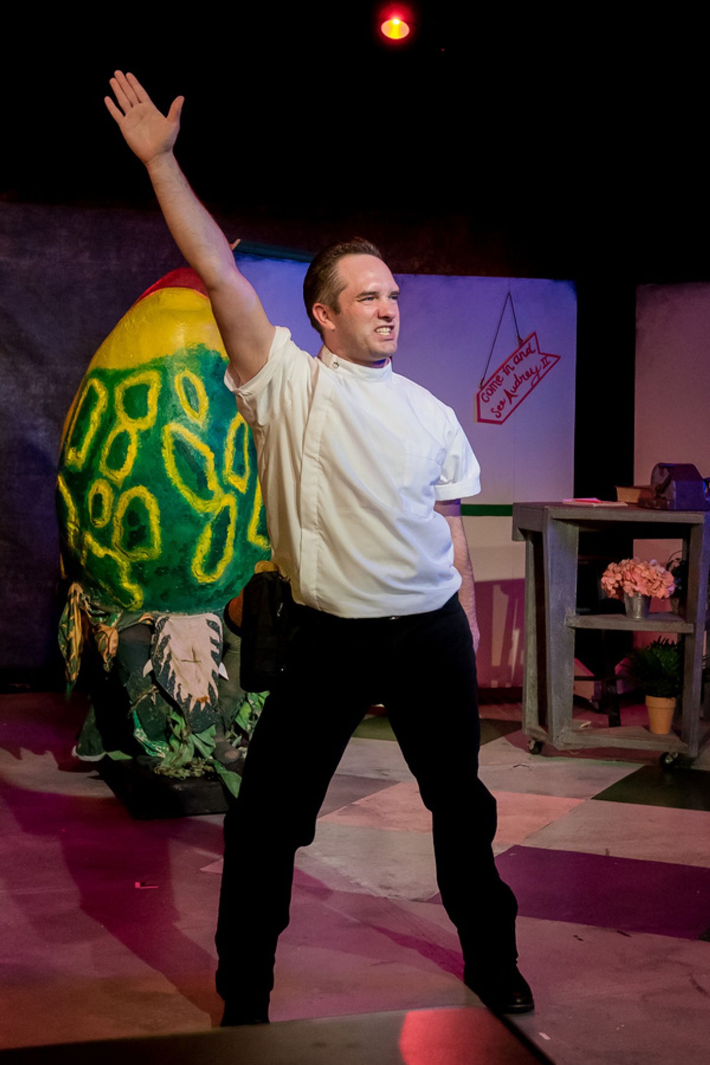 Photo Flash: First Look at TexARTS' LITTLE SHOP OF HORRORS Photo Flash: First Look at TexARTS' LITTLE SHOP OF HORRORS Image