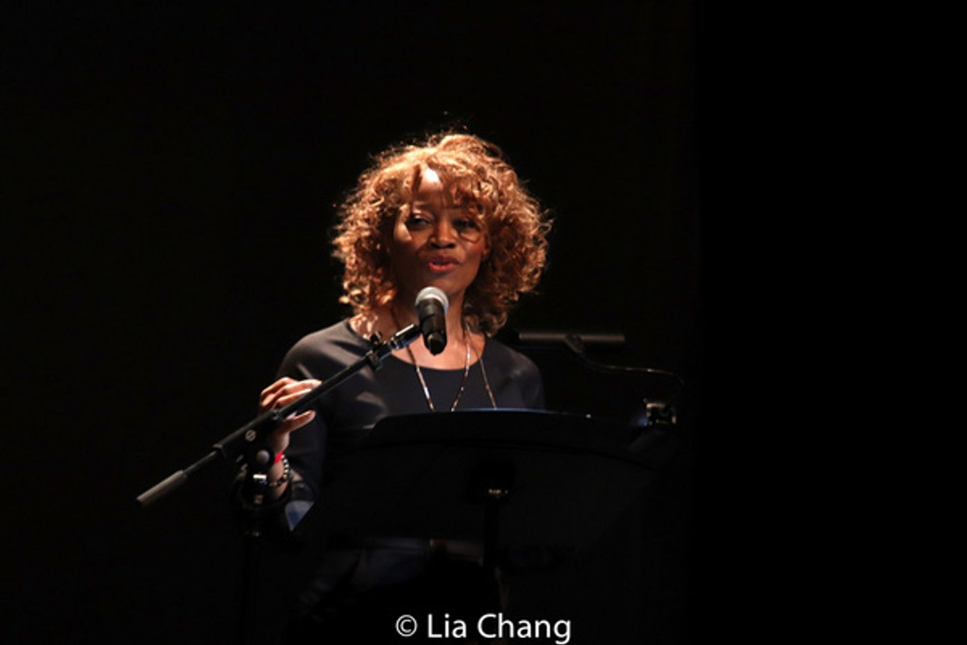 Photo Flash: HADESTOWN Star André De Shields Receives 2019 Project1Voice Lifetime Achievement Award  Image
