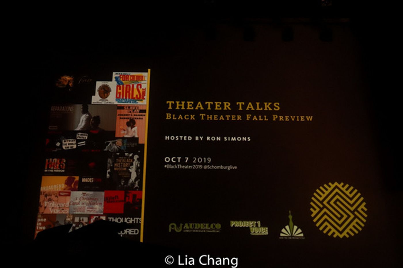 Photo Flash: HADESTOWN Star André De Shields Receives 2019 Project1Voice Lifetime Achievement Award  Image