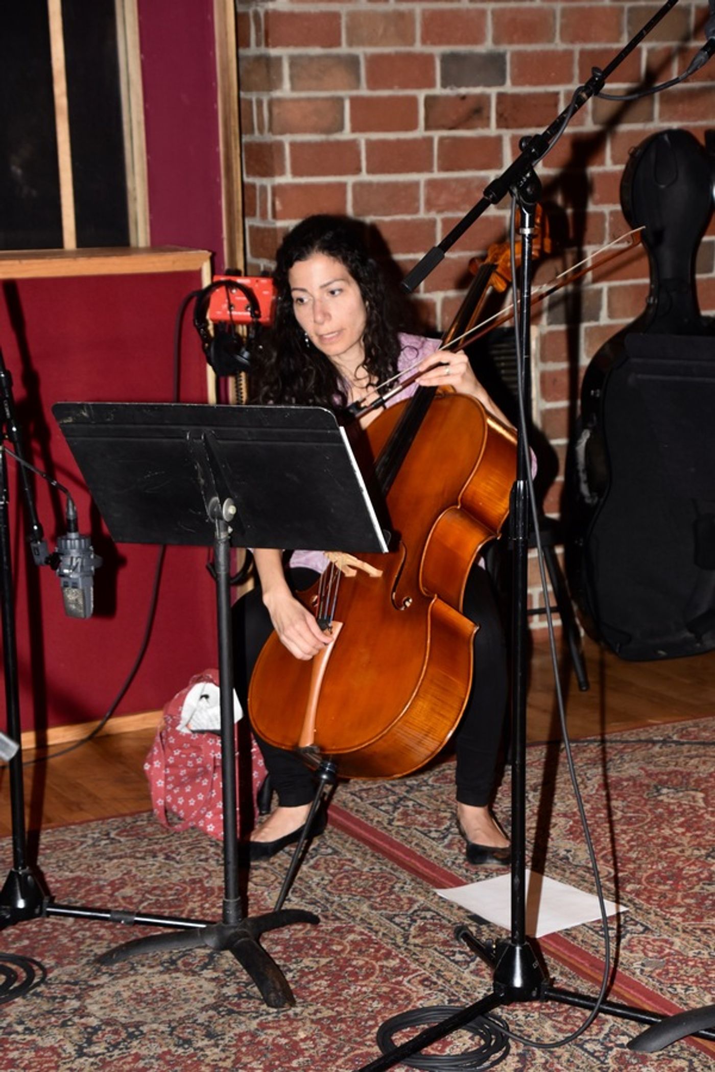 BWW Exclusive: American Federation of Musicians Local 802 Record Carols For A Cure  Image