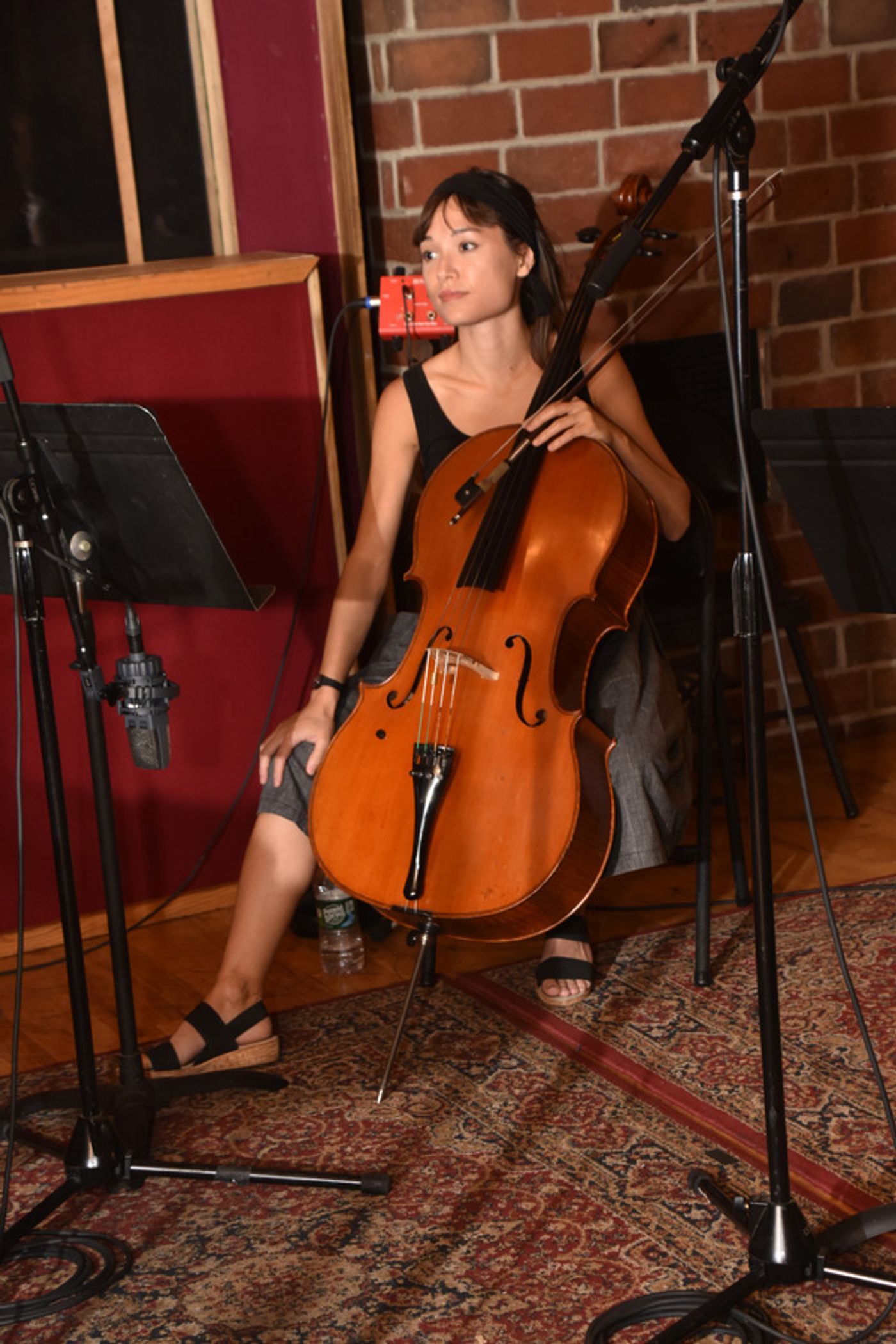 BWW Exclusive: American Federation of Musicians Local 802 Record Carols For A Cure  Image