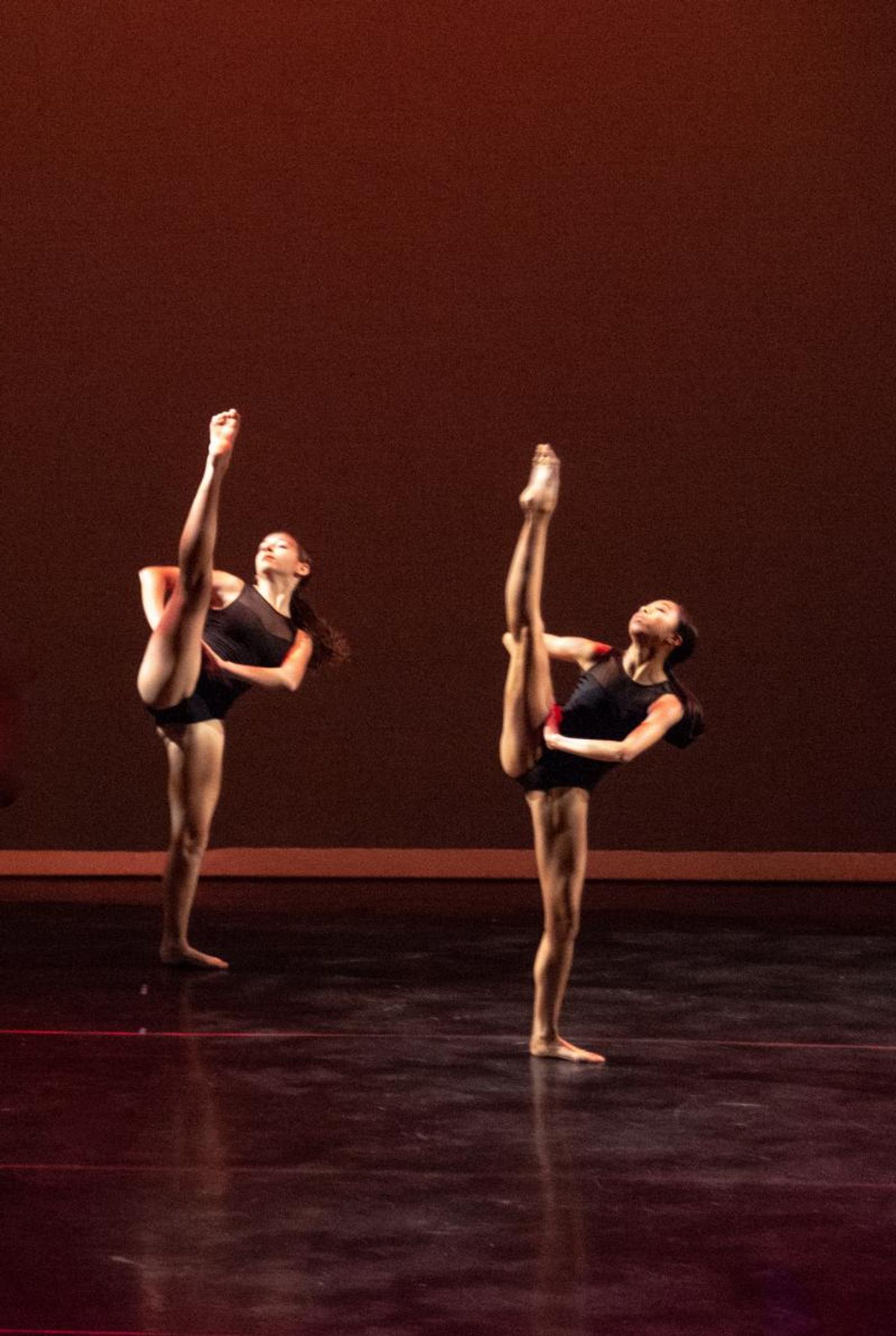 Review:  Los Angeles Youth Ballet Presents A DOUBLE BILL:  MIXED MOTIONS & PETER & THE WOLF at El Portal Theatre  Image