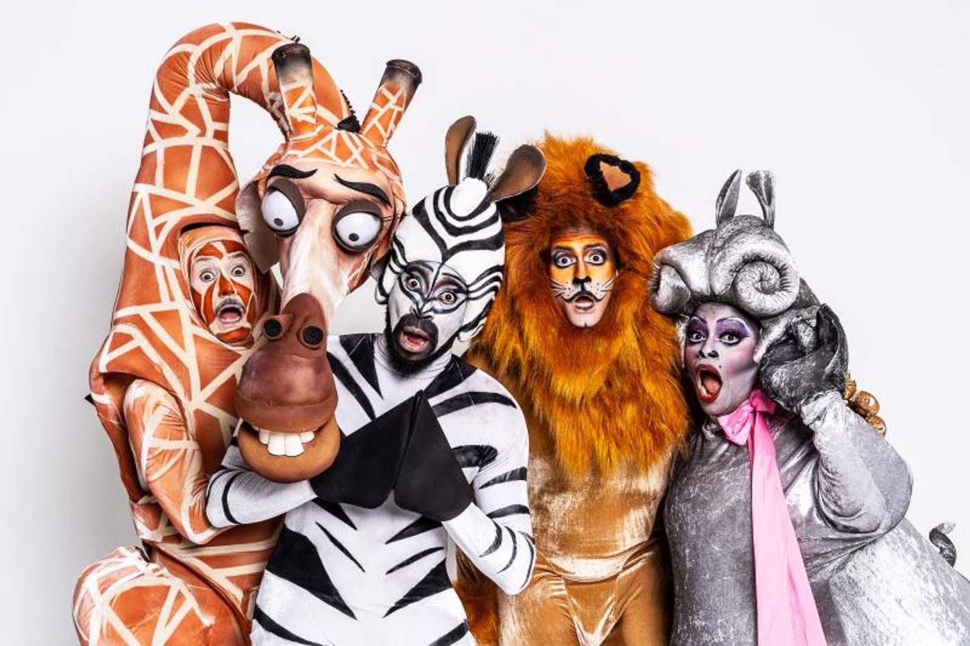 BWW Previews: Sao Paulo Will Move It Move It With MADAGASCAR, UMA AVENTURA MUSICAL BWW Previews: Sao Paulo Will Move It Move It With MADAGASCAR, UMA AVENTURA MUSICAL Image