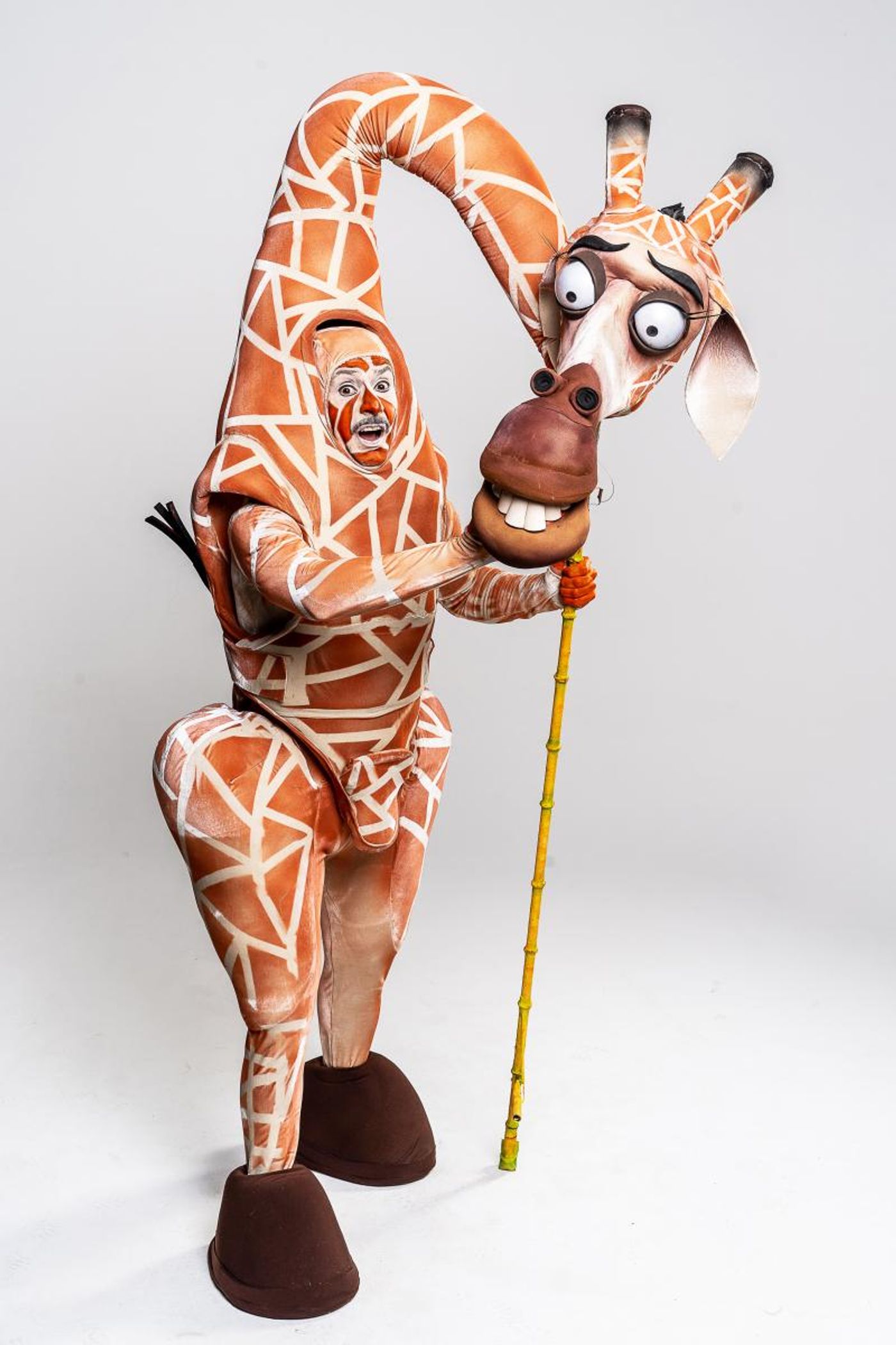 BWW Previews: Sao Paulo Will Move It Move It With MADAGASCAR, UMA AVENTURA MUSICAL BWW Previews: Sao Paulo Will Move It Move It With MADAGASCAR, UMA AVENTURA MUSICAL Image