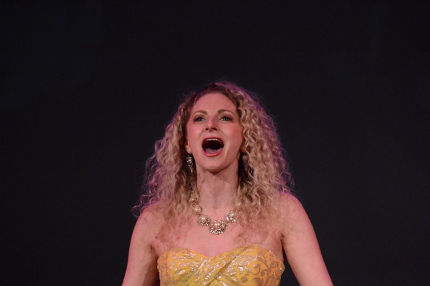 Photo Coverage: Inside Opening Night of THE DECLINE AND FALL OF THE ENTIRE WORLD AS SEEN THROUGH THE EYES OF COLE PORTER  Image