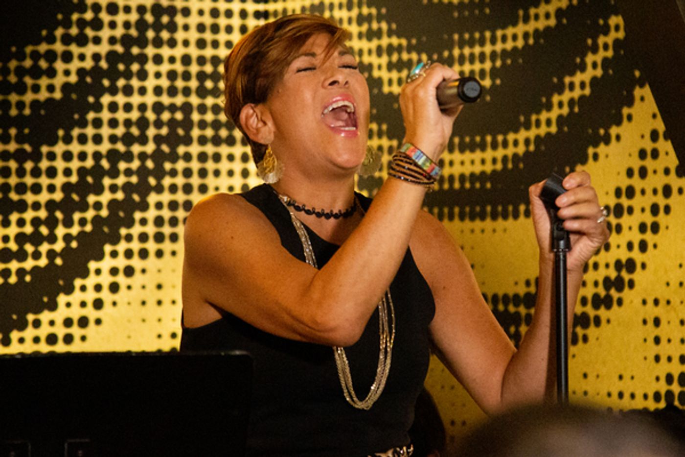 Photo Flash: Viva Broadway Wraps Up EL CONJUNTO Concert Series  Image