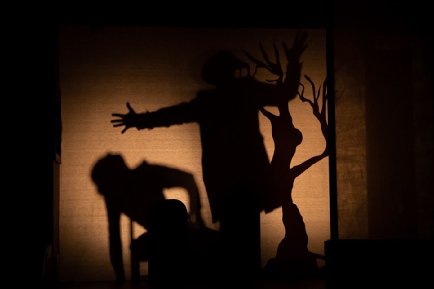 Photo Coverage: First look at The Lancaster Playhouse's The Canterville Ghost  Image