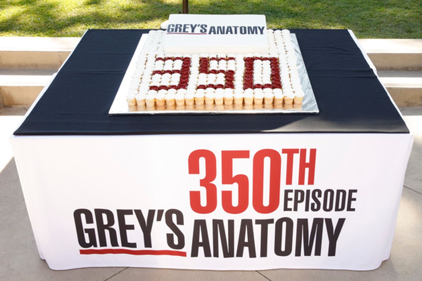 Photo Flash: ABC's GREY'S ANATOMY Celebrates 350 Episodes Photo Flash: ABC's GREY'S ANATOMY Celebrates 350 Episodes Image