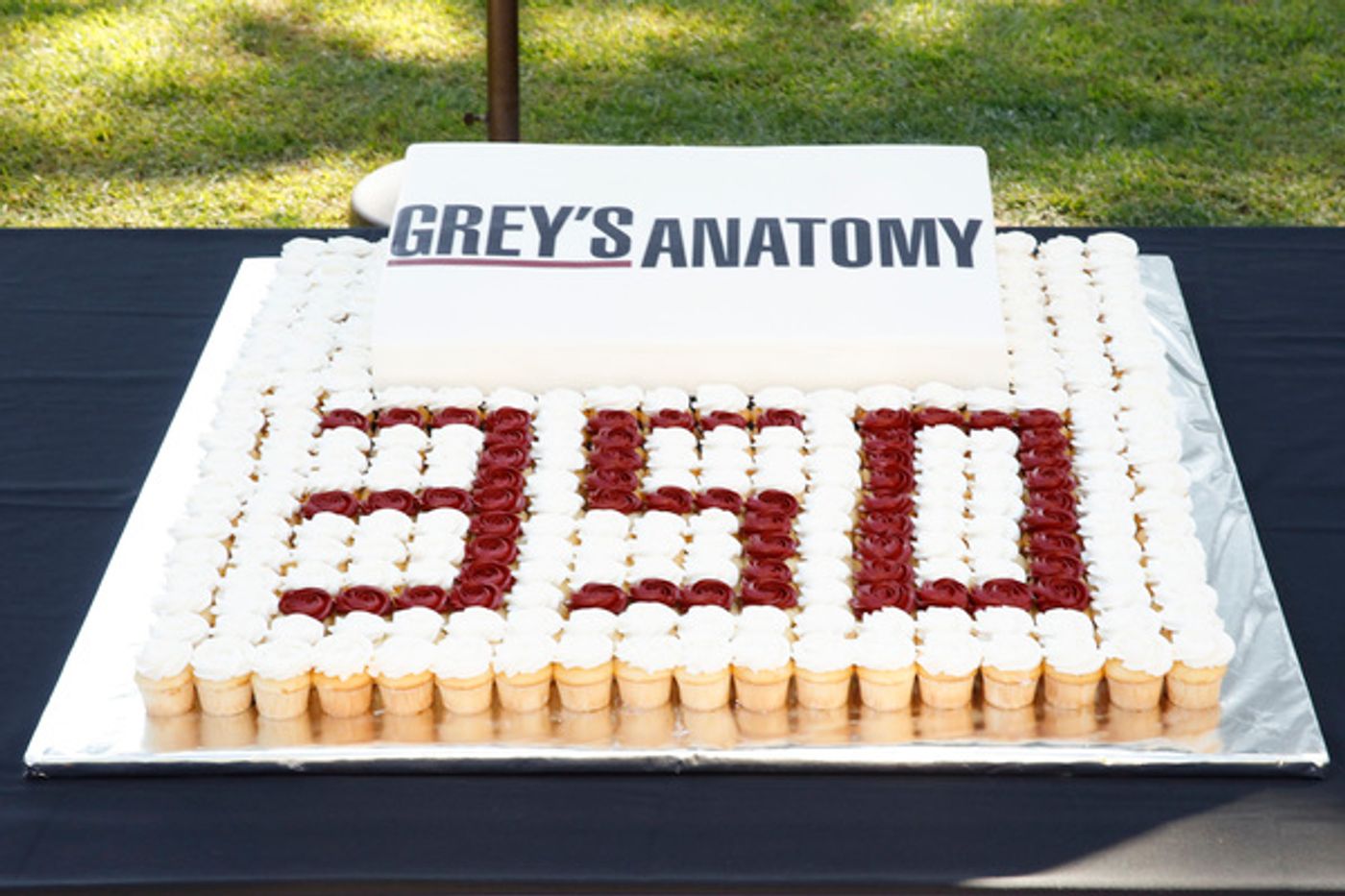 Photo Flash: ABC's GREY'S ANATOMY Celebrates 350 Episodes Photo Flash: ABC's GREY'S ANATOMY Celebrates 350 Episodes Image