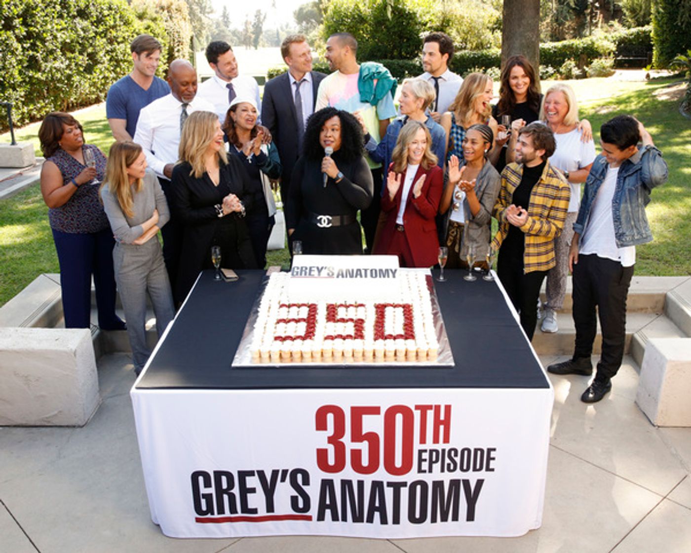 Photo Flash: ABC's GREY'S ANATOMY Celebrates 350 Episodes Photo Flash: ABC's GREY'S ANATOMY Celebrates 350 Episodes Image