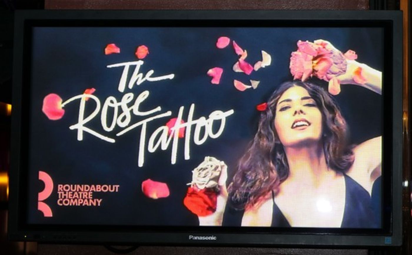 Photo Coverage: THE ROSE TATTOO Company Celebrates Opening Night!  Image