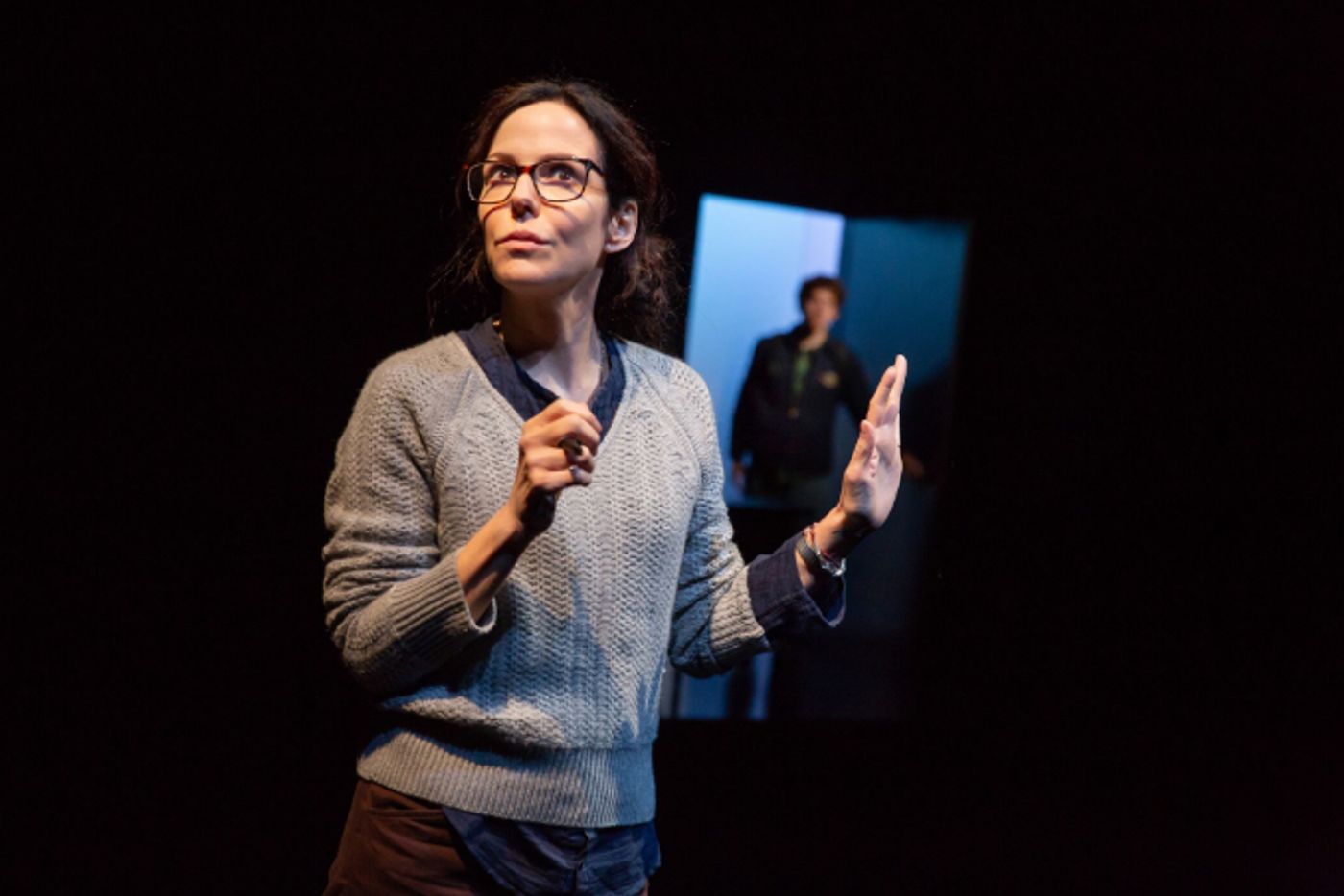 Review: Mary-Louise Parker Cerebrally Fascinates in Adam Rapp's Quietly Riveting THE SOUND INSIDE  Image
