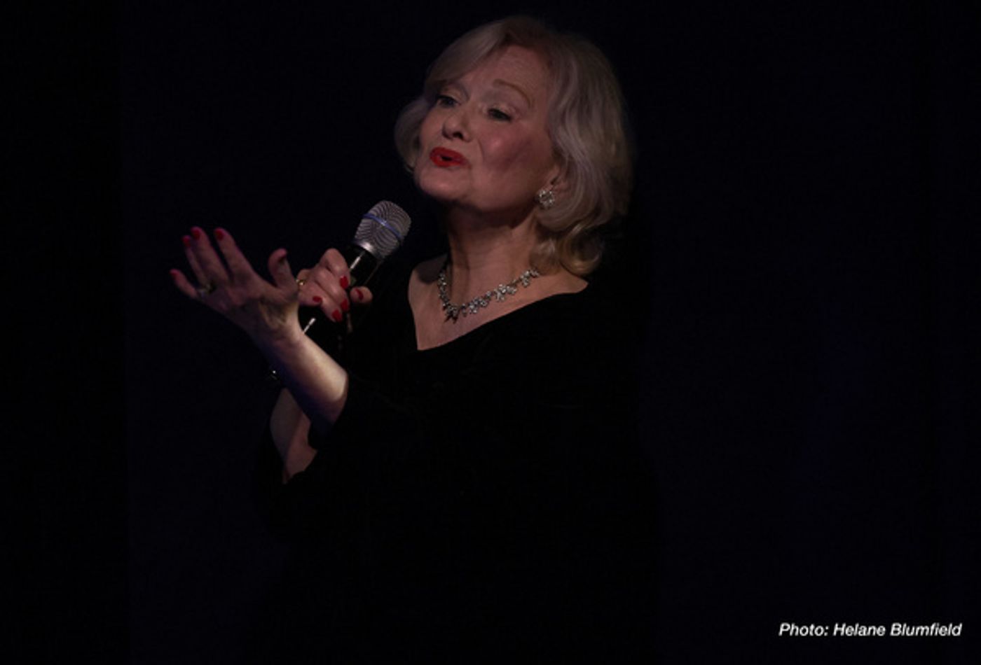 Photo Flash:  Nancy McGraw Sings The Lyrics Of Johnny Mercer At The Laurie Beechman  Image