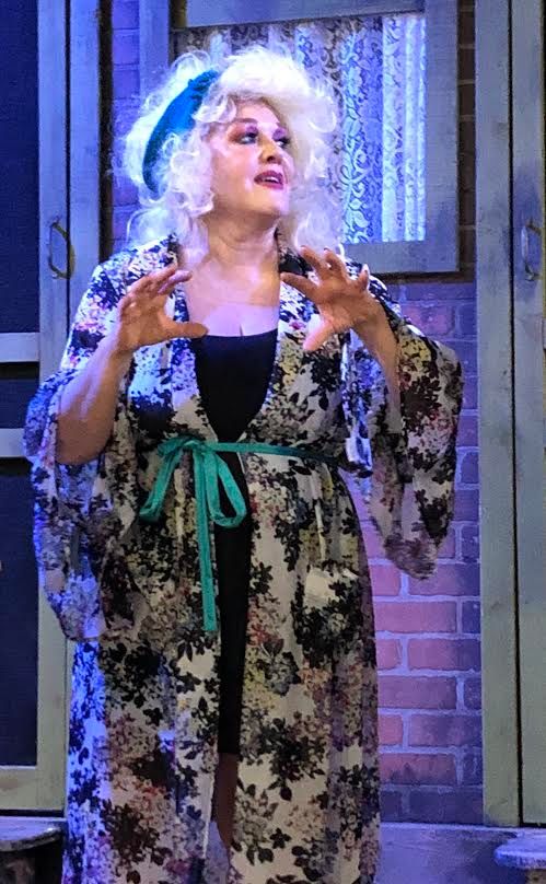 Review: GEMINI at The Harrison Players  Image