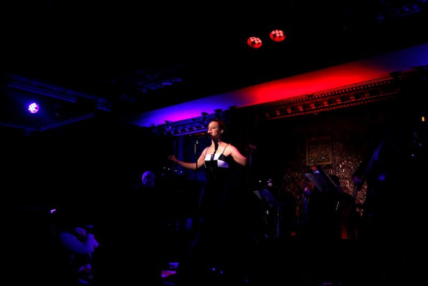 Review: Jen Fellman Sells Out 54 Below for FORBIDDEN DRIVE CD Release  Image