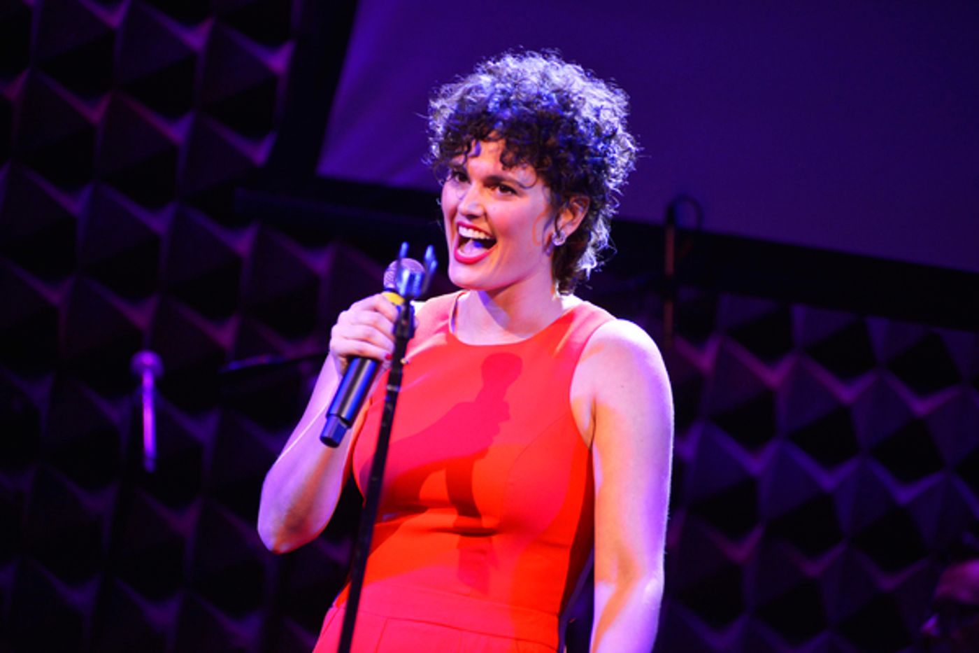 Photo Flash: Stars Align for Gilana's Fund Benefit at Joe's Pub  Image