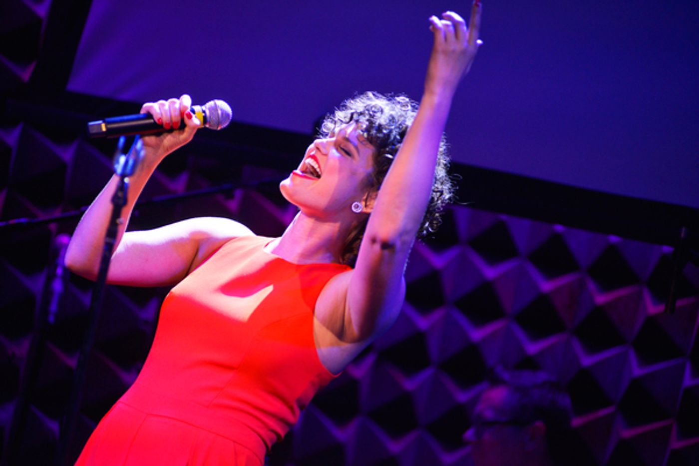 Photo Flash: Stars Align for Gilana's Fund Benefit at Joe's Pub  Image