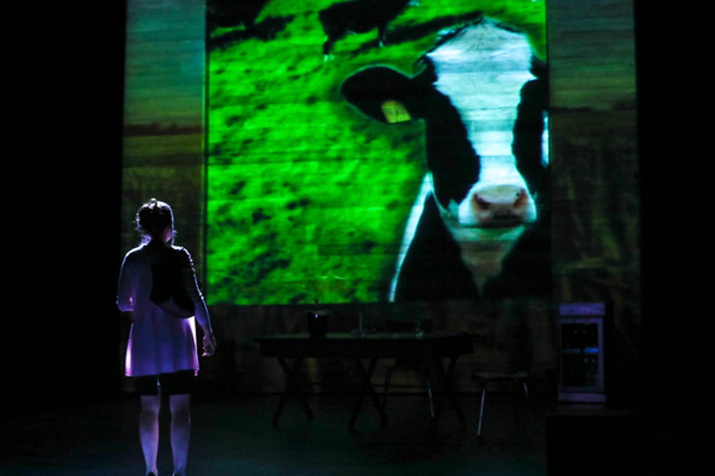 Photo Flash: PlayMakers Presents DAIRYLAND  Image