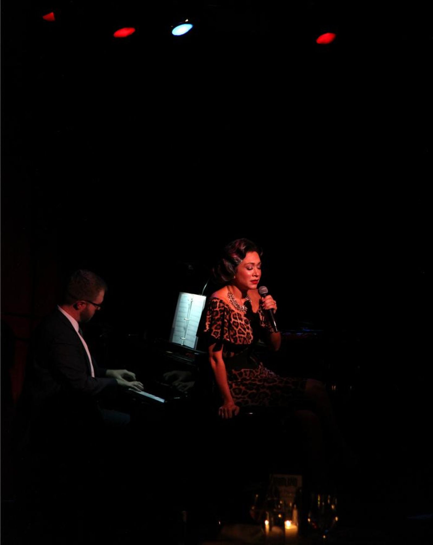 Review: Diana DeGarmo and Ace Young Bring The Fun to DnA THE MUSIC THAT MAKES US at Birdland  Image