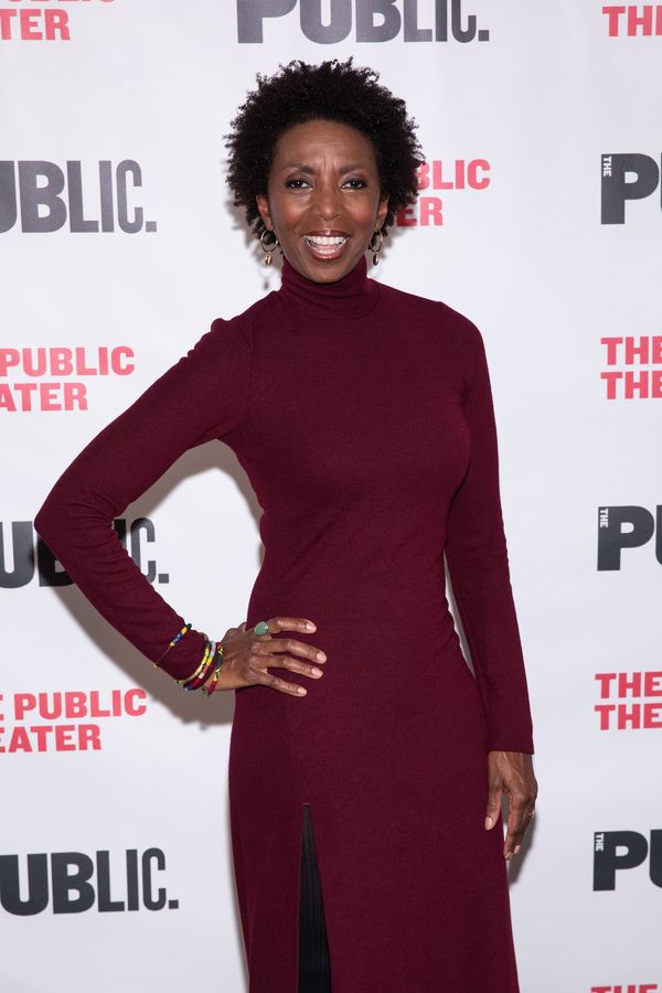 Photo Flash: The Public Theater Celebrates Opening Night of FOR COLORED GIRLS — photo 9 of 24