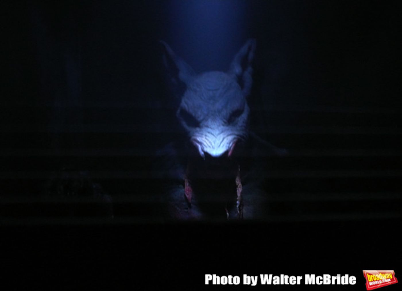 Photo Coverage: Inside BLOOD MANOR 2019 - The Biggest Scares On Broadway  Image