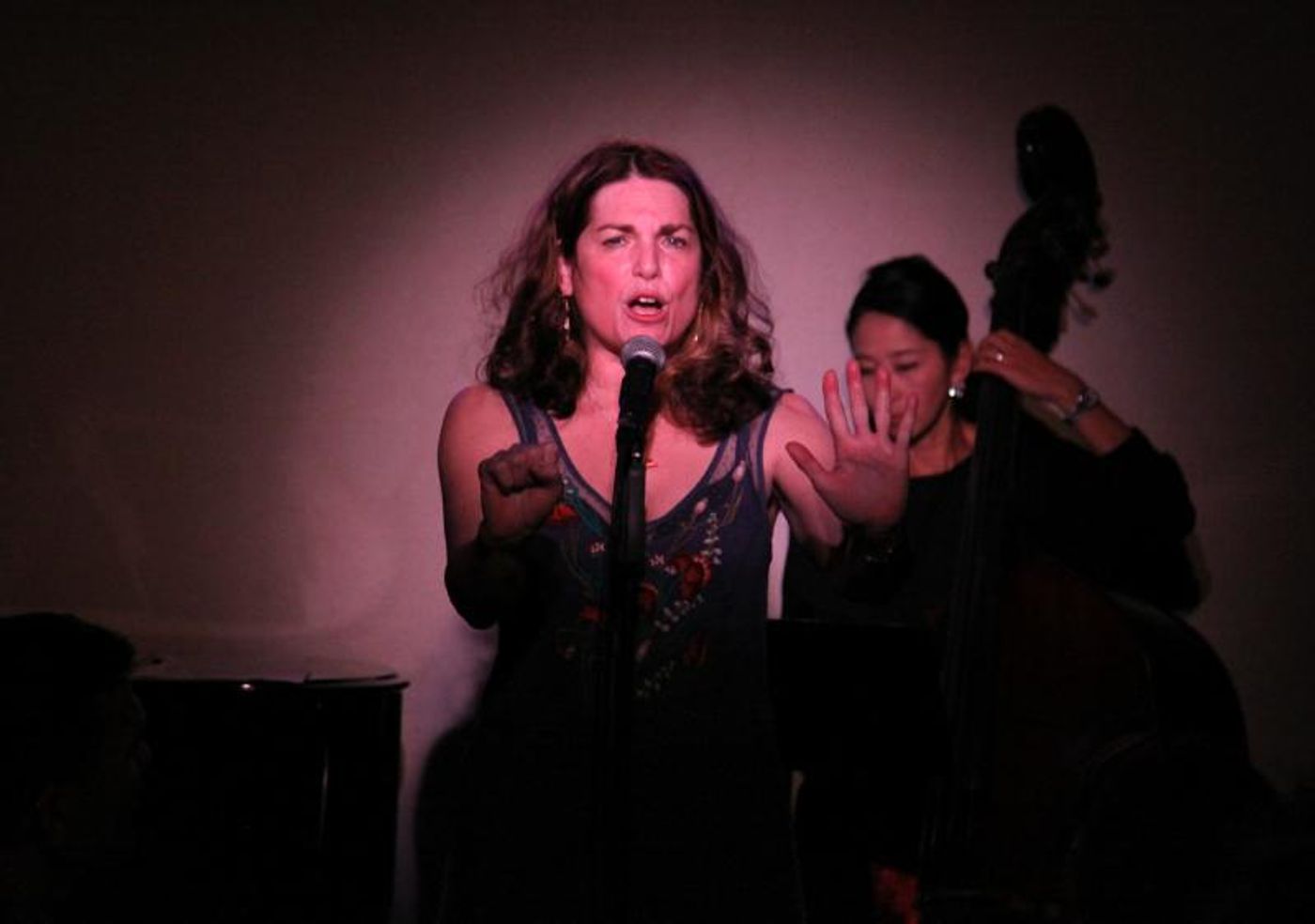 Review: Wendy Kaufman Harper Debuts Well with STAY ON THE RIDE at Don't Tell Mama Review: Wendy Kaufman Harper Debuts Well with STAY ON THE RIDE at Don't Tell Mama Image