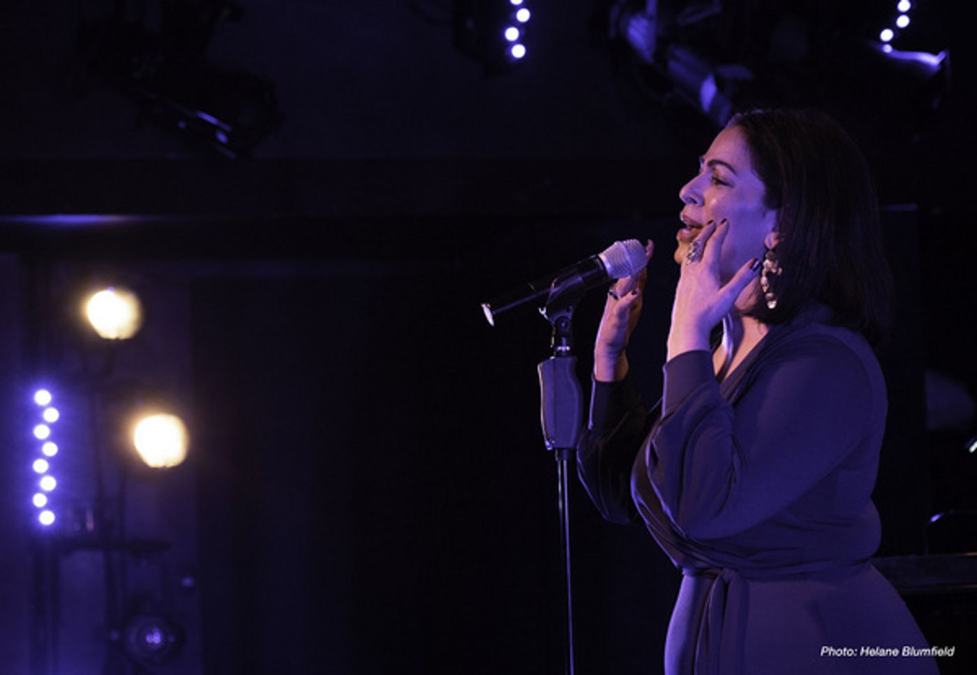 Photo Flash: Singnasium Fall Fun(d) Raiser Raises Funds and Spirits At The Laurie Beechman Photo Flash: Singnasium Fall Fun(d) Raiser Raises Funds and Spirits At The Laurie Beechman Image