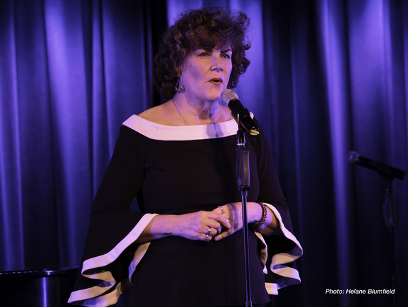 Photo Flash: Singnasium Fall Fun(d) Raiser Raises Funds and Spirits At The Laurie Beechman  Image