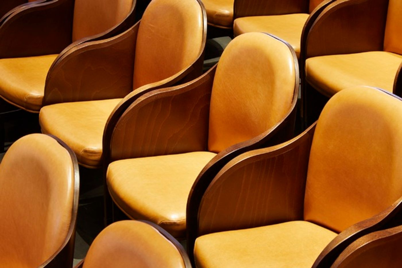 Photo Flash: First Look at the Brand New Boulevard Theatre Photo Flash: First Look at the Brand New Boulevard Theatre Image