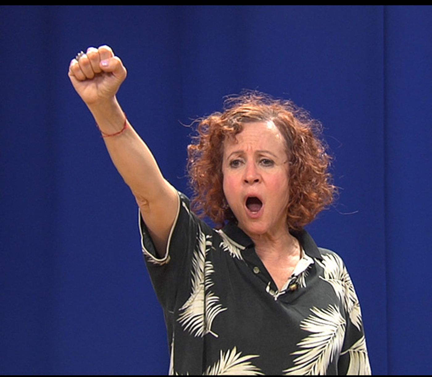 Photo Flash: Dana Block In MONKEY MAN At United Solo  Image