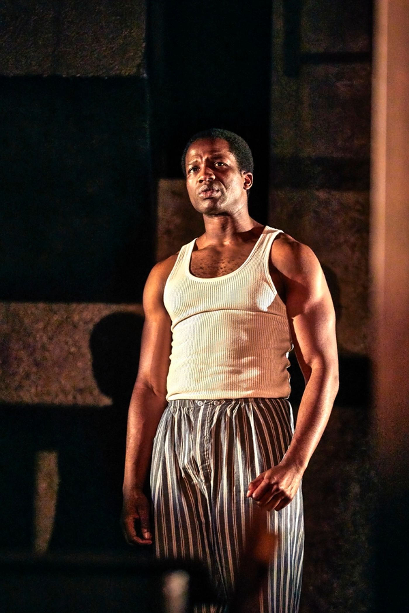 Photo Flash:  New Photos of the West End Production of DEATH OF A SALESMAN  Image