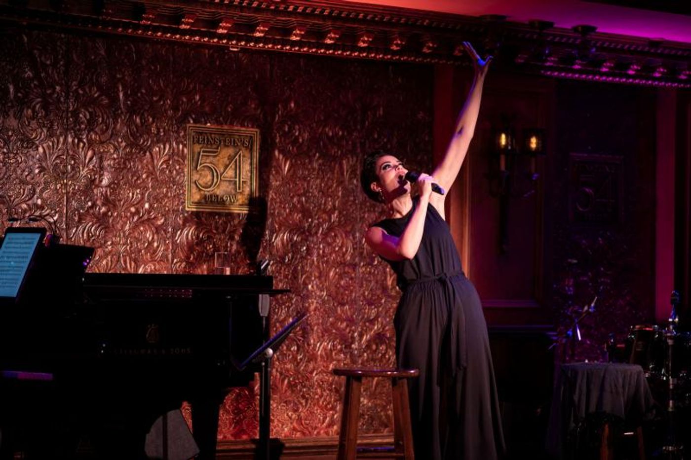 BWW Photo Flash Exclusive: TUESDAYS AT 54 WITH ROBBIE ROZELLE at Feinstein's/54 Below BWW Photo Flash Exclusive: TUESDAYS AT 54 WITH ROBBIE ROZELLE at Feinstein's/54 Below Image